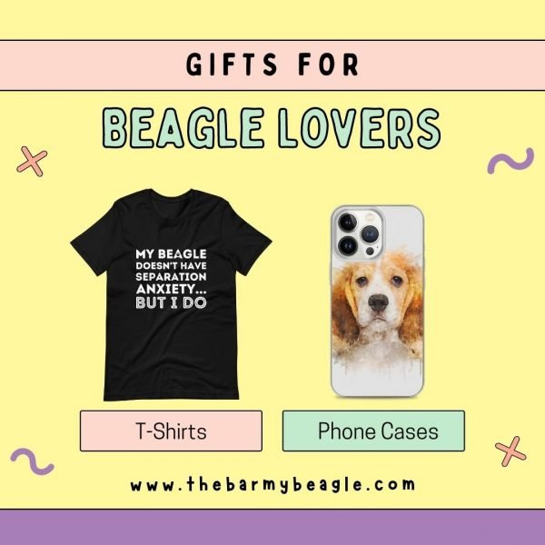 13 Reasons Why Beagles Eat Poop (& How You Can Stop It)