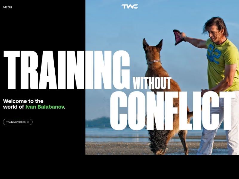 13 Best Online Dog Training Courses (That Actually Work!) 17 TWC Cornerstone Collection Dog Training Course