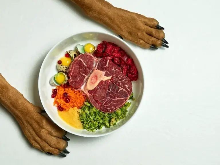 11 Easy Ways To Get Your Dog To Eat Their Vegetables!